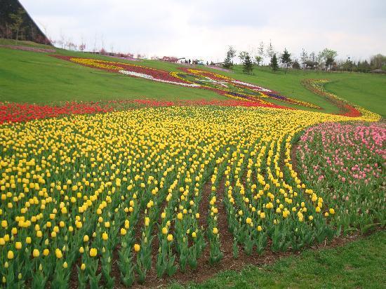 Shenyang Botanical Garden